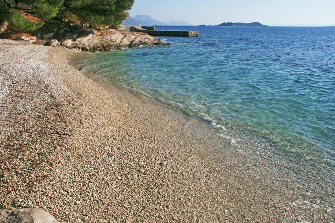 Apartments With A Parking Space Orebic, Peljesac - 10101 Eksteriør billede